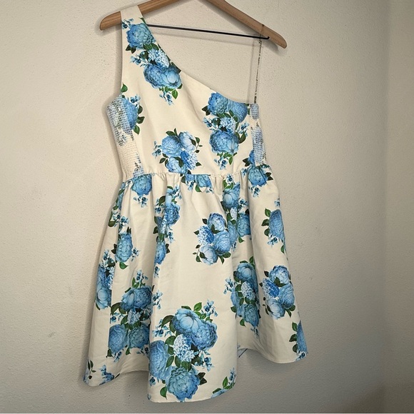 NWT Sachin + Babi Addison Dress, size 10 - Picture 4 of 7